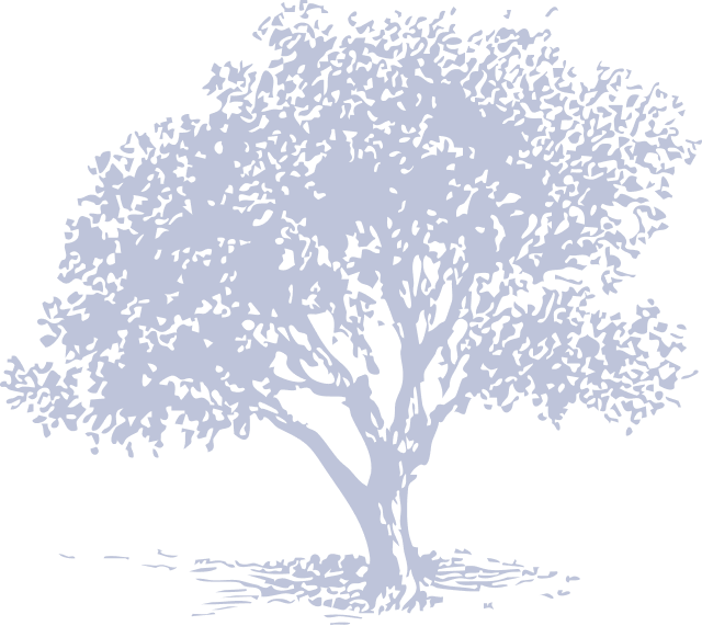 Illustration Tree 01