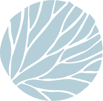 - Bgt Full Sky Leaf Bgt Full Sky Leaf