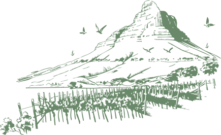 Illustration Moutain And Vineyard