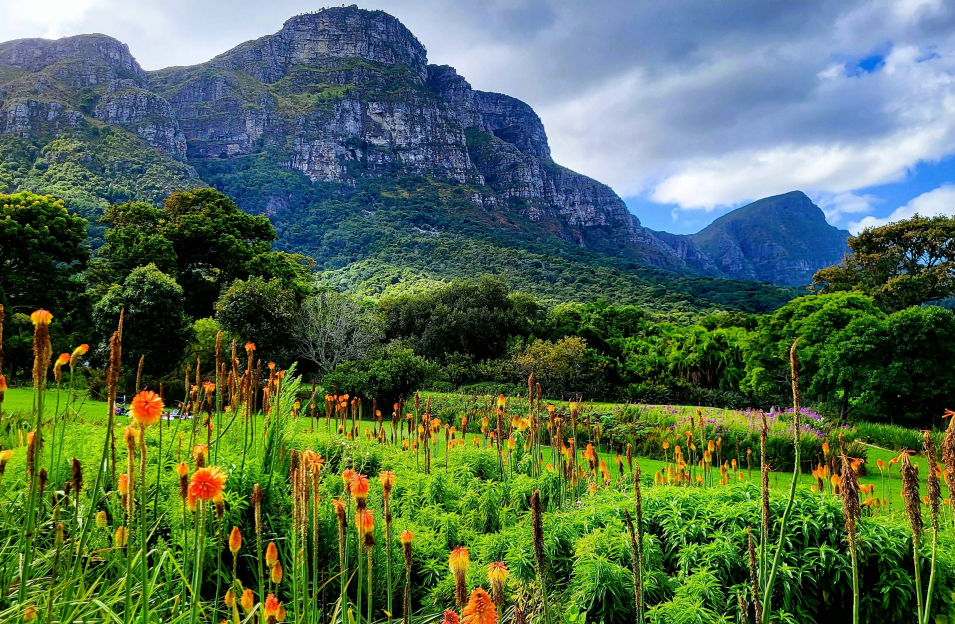 Kirstenbosch Botanical Gardens
